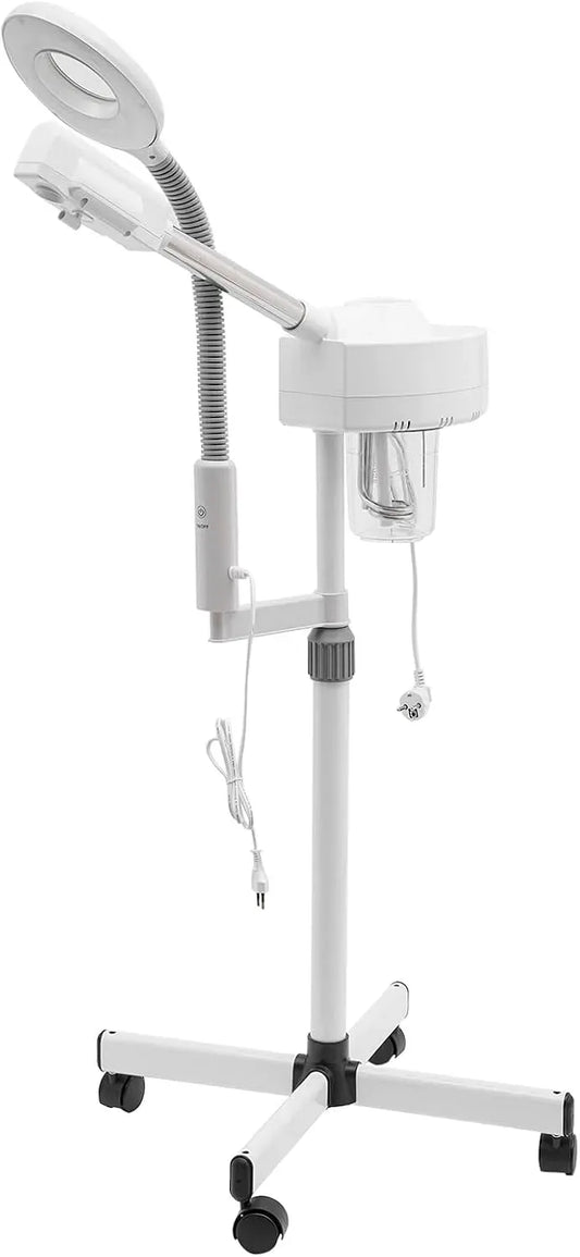 Humidificateur, lampe, vapeur, professionnel, pour le visage 2 en 1